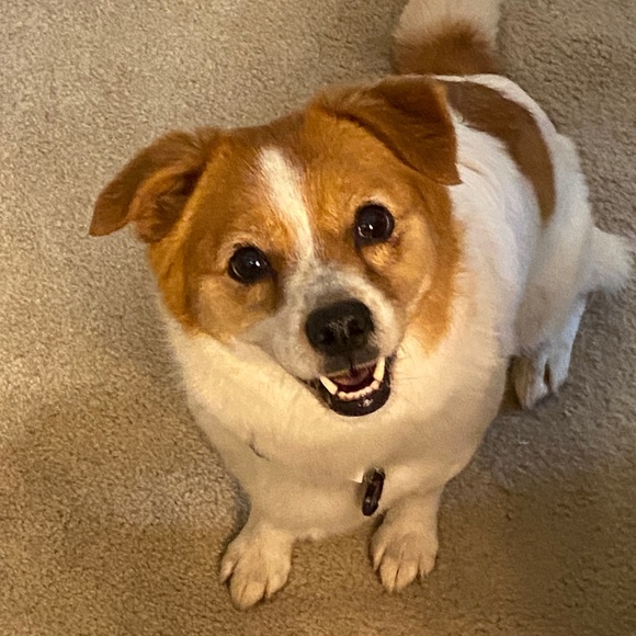 Meet your Posher, Christy - Picture 3 of 3